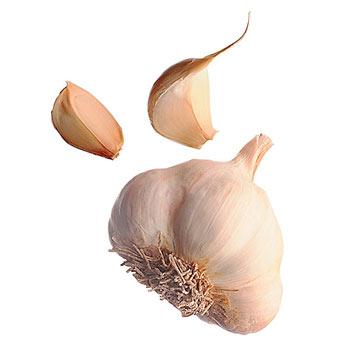 5 Healthiest Foods on Planet