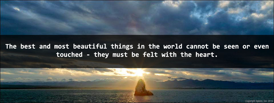 7 Inspirational Quotes for Daily Dose