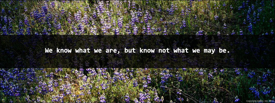 7 Inspirational Quotes for Daily Dose