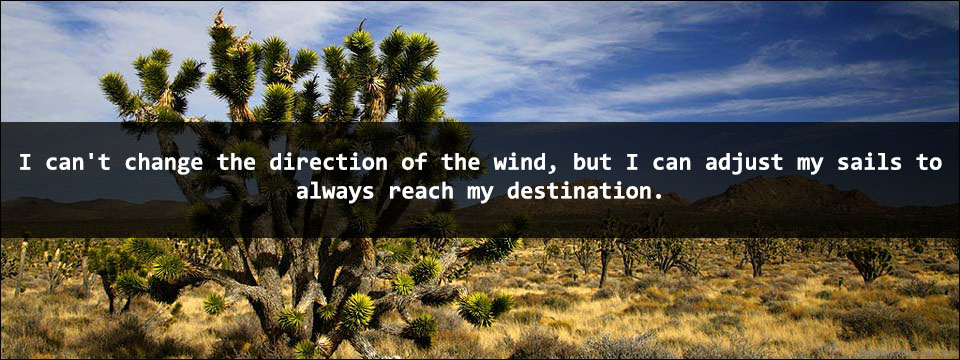 7 Inspirational Quotes for Daily Dose